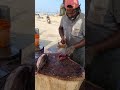 Skipjack Tuna Cutting Skill | Tuna Cutting Under One Minute