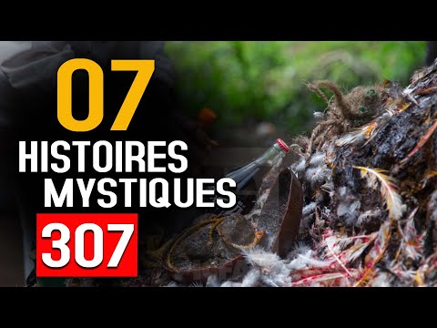 07 Histoires mystiques Épisode 307(07 histoires) DMG TV