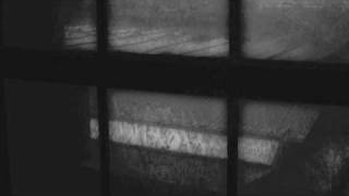 Max Richter-When The Northern Lights | Jasper And Louise