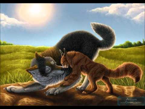 Wolf Trance - I've got the Love