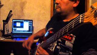 Rock and Roll y Fiebre (bass cover de Pappo)
