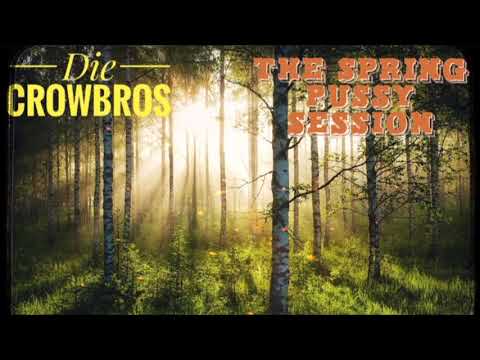 Die CrowBros - De Oide von gestern / Chuck Berry - Memphis Tenneessee (COVER)