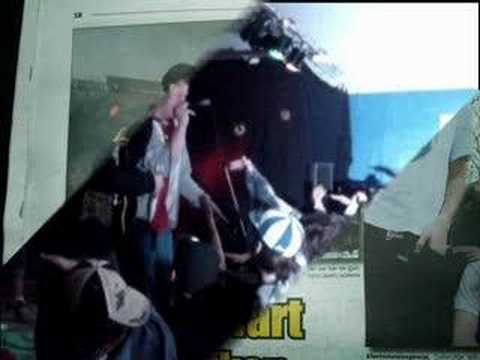 Kaggen och motti-det blir en hit