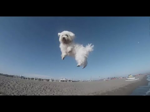 135 Seconds of Happiness in the Balkans