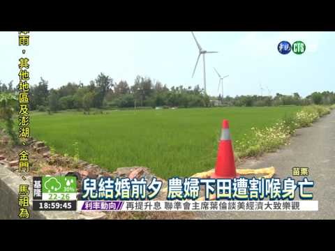 農婦割喉案 警逮涉重嫌男子