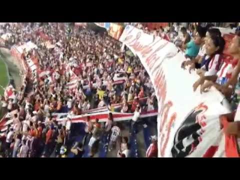 Carnaval Fiesta y Delirio - FRBS La Banda Del Tiburon LBK - Junior 1 vs 0 cali