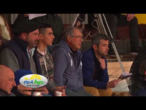 PROGRAMA RIO4AGRO 7 09 BLOQUE 2 LA PAZ DE WERTHEIN 2