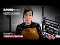 Contact Printing - ILFORD Photo Darkroom Guides