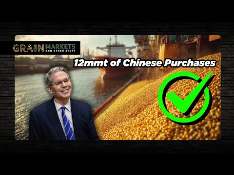 Bessent Says China Hit the 12mmt Soybean Target - Is He Right? Is this a Win for Farmers??