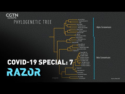 Tracing the origins of SARS-CoV-2: RAZOR #COVID19 Special