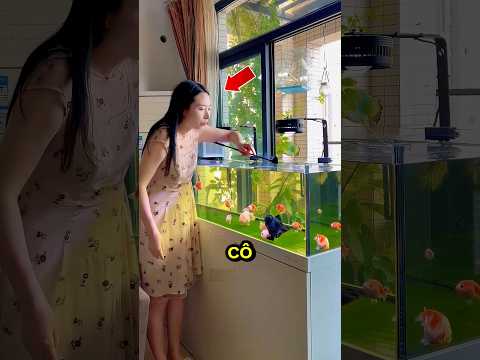 Cô gái phát hiện ra điểm bất thường trong bể cá cảnh 😑