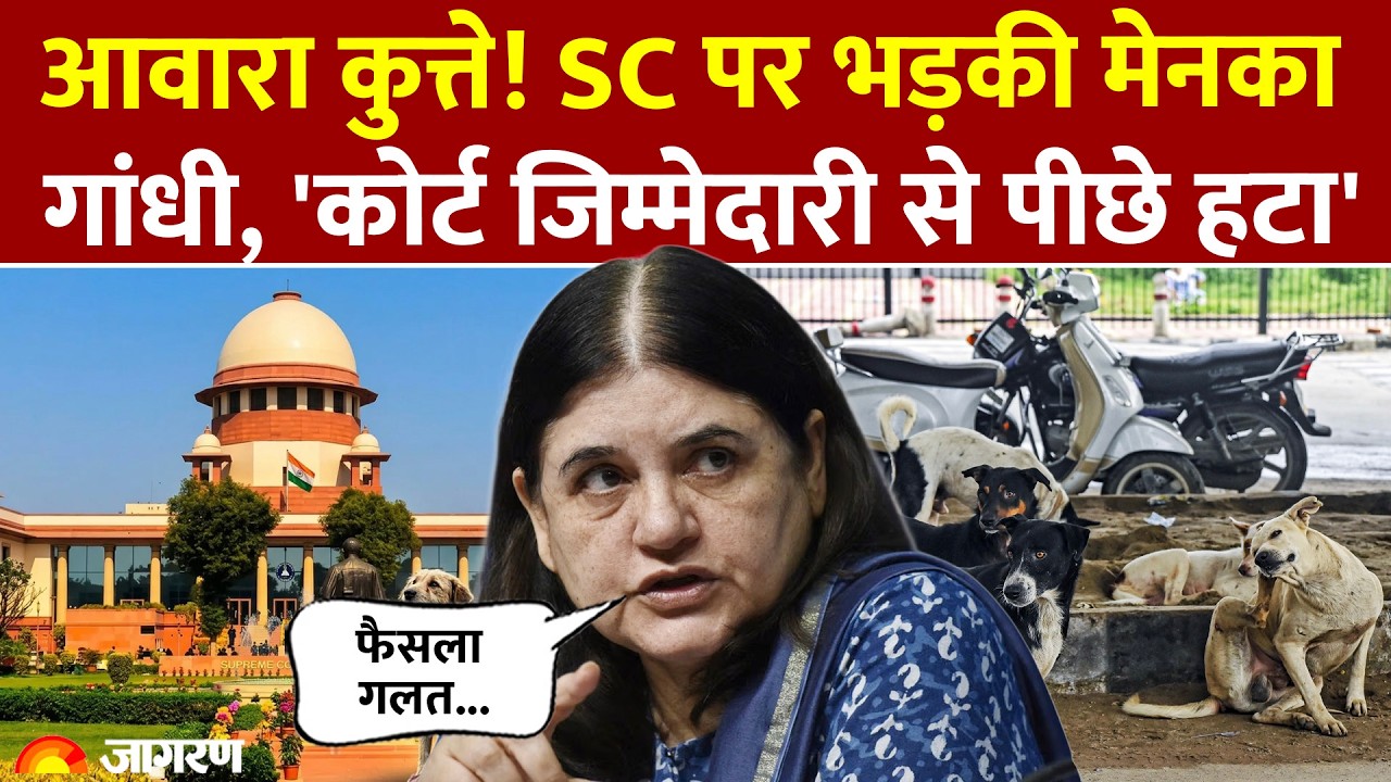 Supreme Court On Stray Dogs:आवारा कुत्ते! SC के फैसले पर भड़की मेनका गांधी। Breaking News।Hindi News
