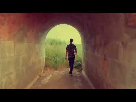 Los Bressackos - Export