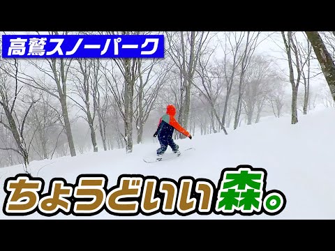 Video: 【スノーボード】上手くなったと勘違い！？ちょうどいいツリーラン高鷲スノーパーク