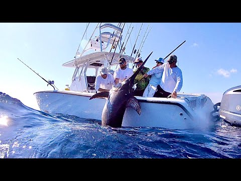 Near *QUARTER TON* Swordfish with Capt. Nick Stanczyk! Catch Clean and Cook