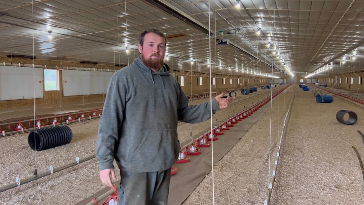 Walnut Hollow Poultry- barn tour