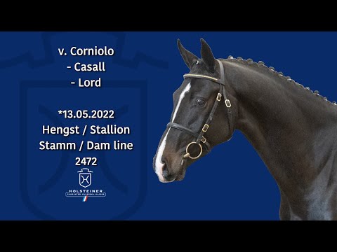 Corvictor free jumping Corvictor free jumping