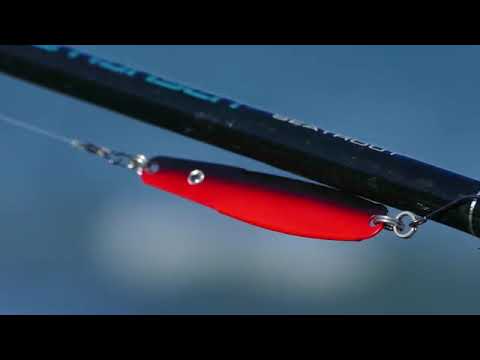 Spinnfischen auf Dorsch  Meerforelle für Beginner Teil 9 Die richtige Köderführung