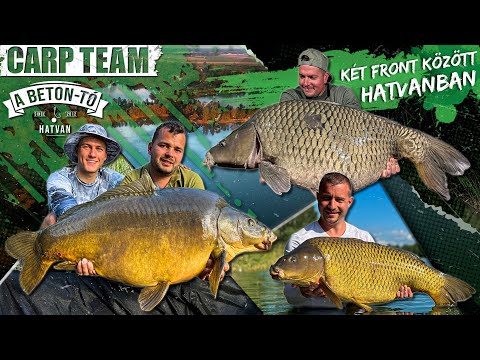 Rokolya Péter - Két front között Hatvanban