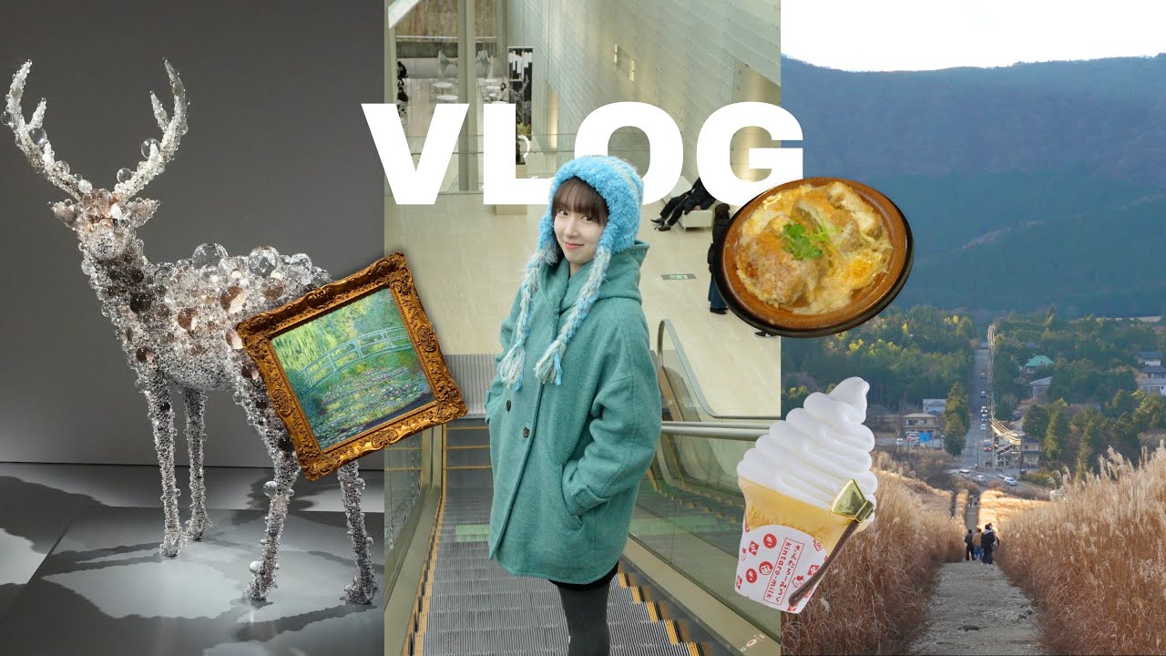 【箱根】1泊2日冬の箱根へ癒し旅⛄️ 🪼温泉,海鮮食べ放題,美術館🖼️