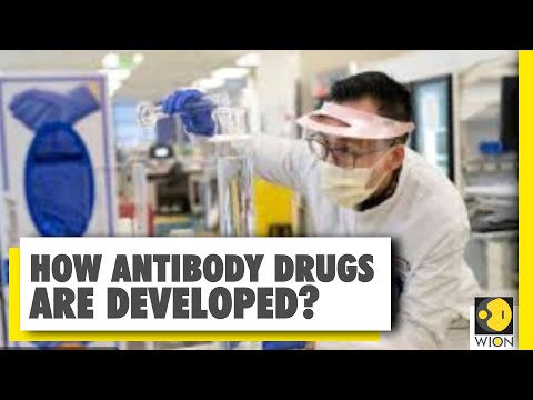 How are antibody drugs developed? | Race to find a cure for COVID-19