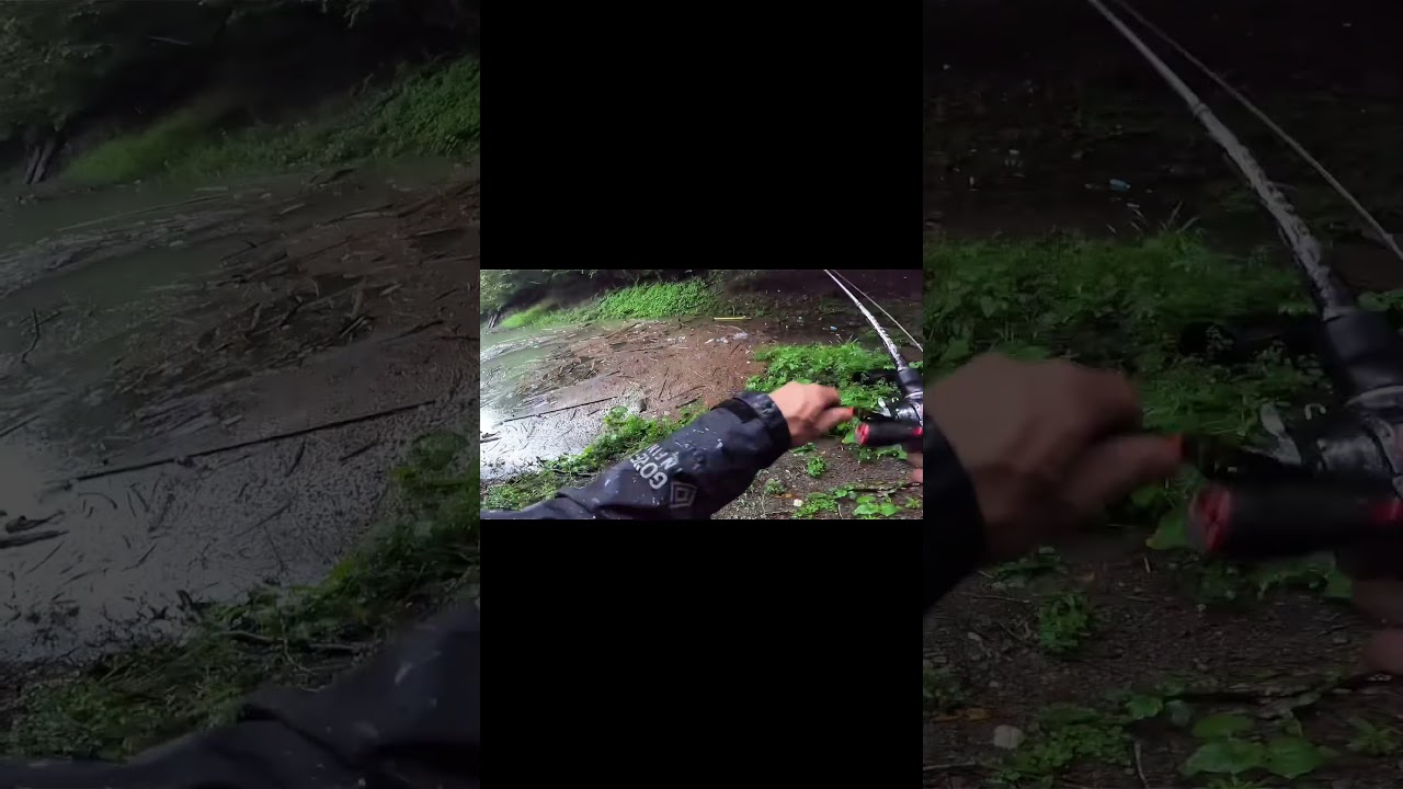 良い所には魚が多い🐟　#魚釣り　#ガンクラフト　#gancraft #リザーバー　#雨　#インレット　#ラチェット