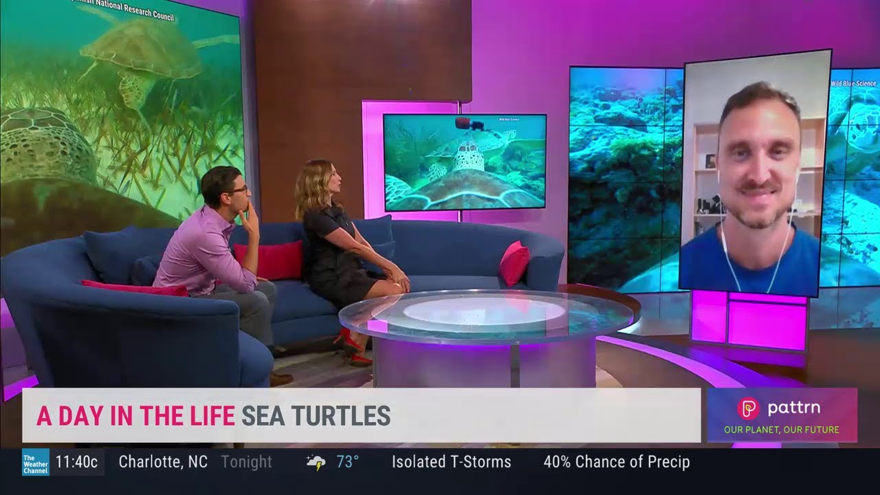 A Day In The Life Of A Sea Turtle - Nathan J. Robinson Interviewed on The Weather Channel
