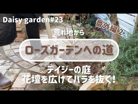 園芸 大きなデイジー