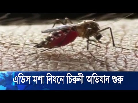 এডিস মশা নিধনে কাল থেকে চিরুনী অভিযান শুরু করছে ঢাকা উত্তর সিটি করপোরেশন