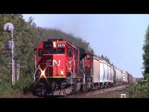 EMD Power! CN Train 407 at Painsec Junction