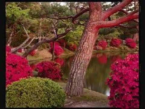  Decoración de exteriores con ideas de los jardines japoneses