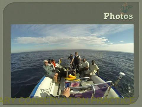 2014D4S36L1 Mondli Dlamini Asymmetries in fish assemblages in KZN MPAs using BRUV analysis