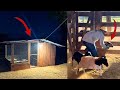 WE BUILT A CHICKEN COOP IN 3 DAYS CASTRATED A SHEEP AND HAD A BARBECUE