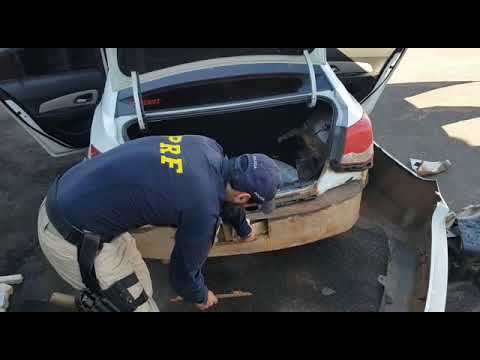 PRF apreende mais de 160kg de maconha em Rosário do Sul