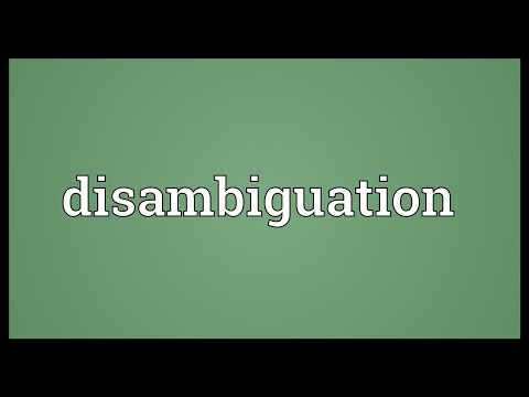 Disambiguation Meaning