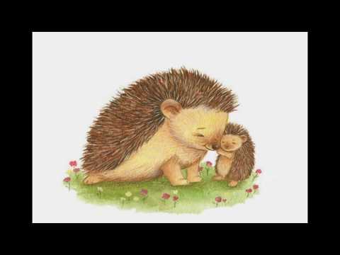 Ariciul - Povesti pentru copii - Despre casa si iubire