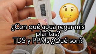 ¿Con qué agua regar mis plantas carnívoras | TDS y PPMs
