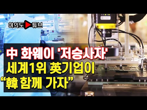 中화웨이에 저승사자 세계1위 英기업이“韓 함께 가자”