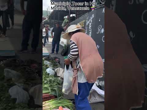 🇻🇪 UNSEEN Municipio Tovar, Merida, VENEZUELA #virtualtour #merida #venezuela #municipiotovar