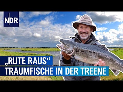 Rute raus, der Spaß beginnt: Treene | Rute raus, der Spaß beginnt! | NDR