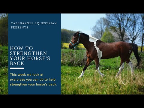 How to strengthen your horse's back