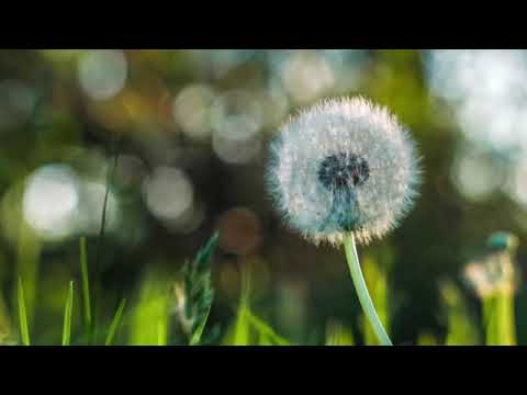 YouTube Video - Voice Over Showreel