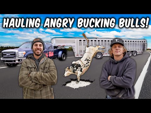 We Brought ANGRY PBR Bulls to A Small Town Rodeo!