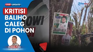 Caleg Paku Baliho di Pohon, Aktivis Lingkungan Geram: Mau Sejahterakan Masyarakat, Jaga Lingkungan