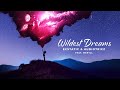 Ecstatic Audiotricz Ft MERYLL Wildest Dreams Official Lyric Video