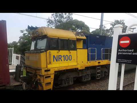 Adz transport vlogs - 3MB4 - NR115, AN2 and NR100 at Meadowbank