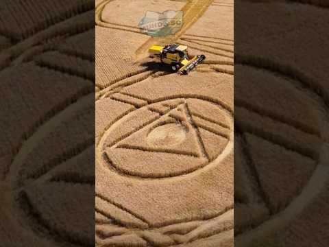 Mais uma vez, Ipuaçu-SC amanheceu com marcas misteriosas em suas plantações de trigo.