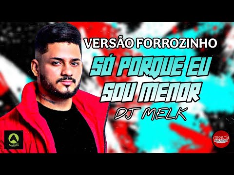 FORROZINHO - SÓ PORQUE EU SOU MENOR - DJ MELK