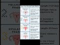 Menstrual Cycle