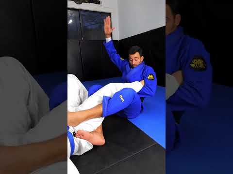 Inverted Ankle Lock 🥋